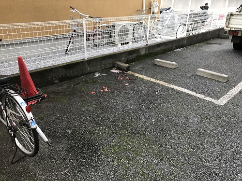 川口 市 自転車